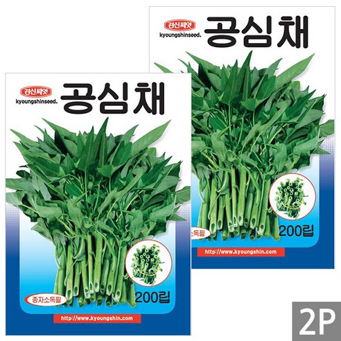 세인화분 공심채 200립 - 모닝글로리 캉쿵 씨 씨앗 채소 야채, 2개