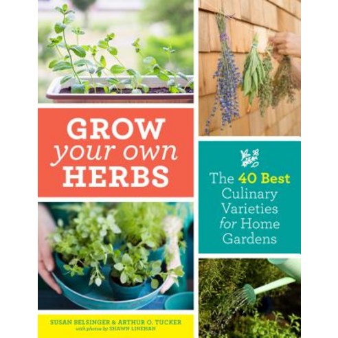 (영문도서)Grow Your Own Herbs: The 40 Best Culinary Varieties for Home Gardens Paperback, Timber Press (OR), English, 9781604699296