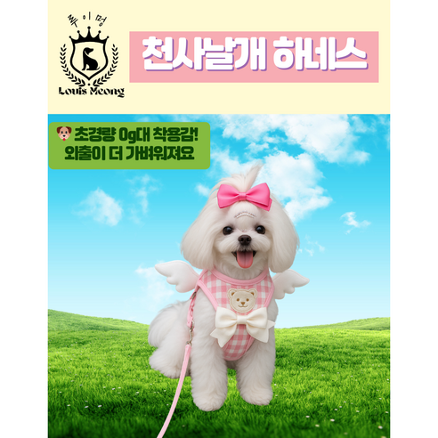 멍툴마켓 루이멍 천사 날개 강아지 하네스 블루 핑크, 1개