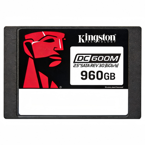 킹스톤 DC600ME 시리즈 SATA3.0 SSD, 960GB