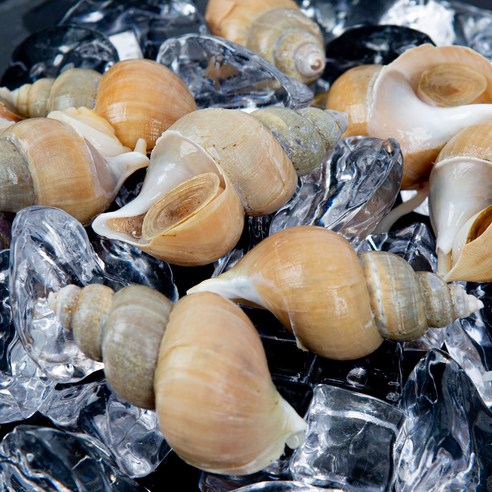 바다의 신선함, 집에서 즐기는 근사한 한 끼