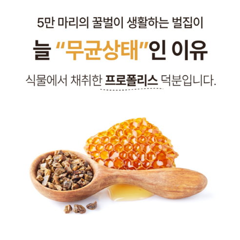 면역력을 높이는 호주산 프로폴리스 40mg 아연 C D 셀렌 요오드가 함... 실사용 후기 | 효과 있을까? - 상품 이미지 3