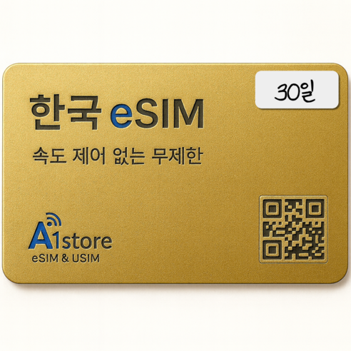 에이원몰 속도 제한 없는 한국이심 SKT 로컬망 데이터 무제한 테더링가능... 개봉기 | 실사용 후기 썸네일