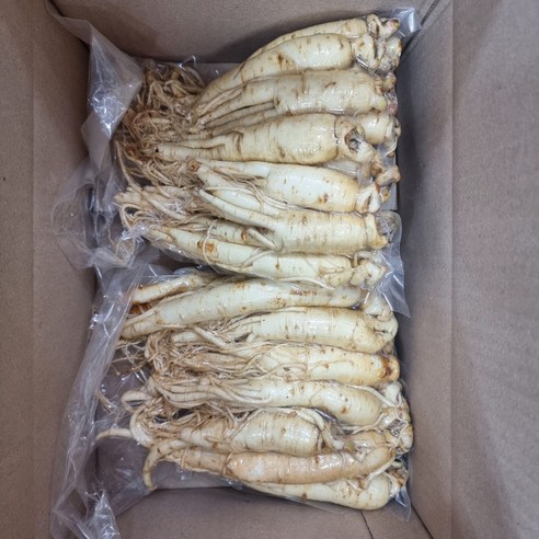 6년근 최상품 풍기인삼 황수삼 200g ~ 800g 세척 인삼 산지직송 ... 실사용 후기 | 효과 있을까? - 상품 이미지 3