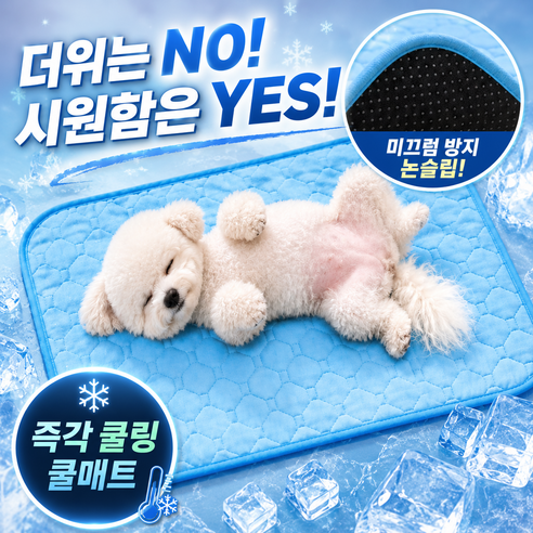 디오벨러 애견 냉감매트 강아지 쿨매트, 1개, 블루