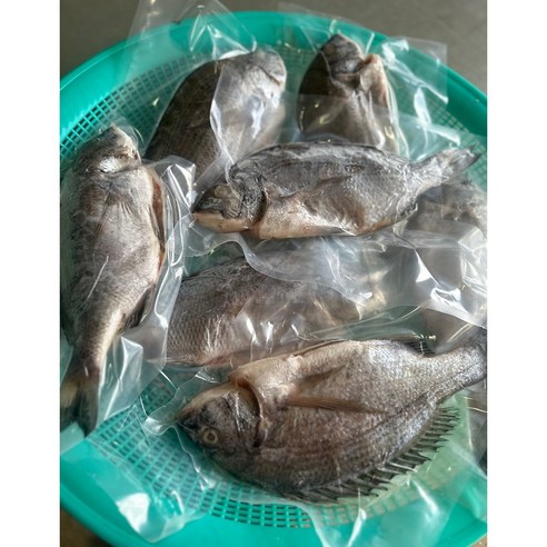 오늘 저녁, 식탁 위에 펼쳐질 놀라운 변화 감성돔