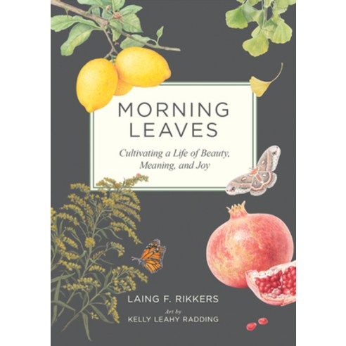(영문도서)Morning Leaves: Cultivating a Life of Beauty Meaning and Joy Hardcover, Red Hen Press, English, 9781636284729