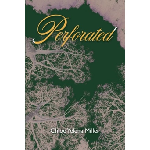 (영문도서)Perforated Paperback, Lily Poetry Review, English, 9781957755649