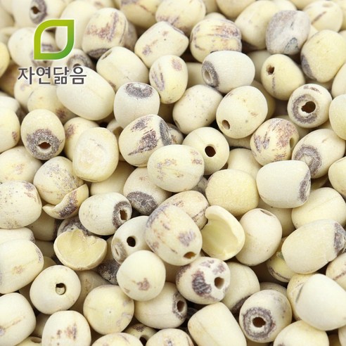 자연닮음 수입 껍질 깐 연자육 연밥 연꽃씨앗 1kg 1kg, 1개 맛있게 먹은 솔직 후기 - 상품 이미지 2