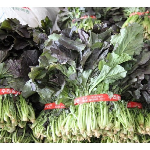 갓 하나로 김치의 깊이가 달라져요