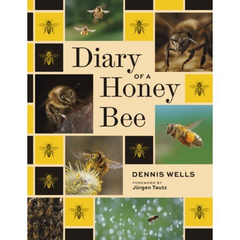 (영문도서)Diary of a Honey Bee Hardcover, Smithsonian Books, English, 9781588348166