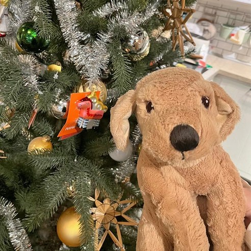 강아지 애착 인형 보들보들 아기 리트리버 봉제 장난감 선물 말랑 모찌 토... 솔직 후기 | 실사용자 리뷰 분석 - 상품 이미지 3