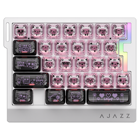 에이재즈 AK029 RGB 29키 유선 기계식 한손 키보드, 블랙 + 핑크, 야옹야옹축, 제조사축