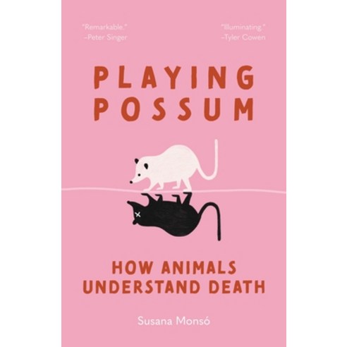 (영문도서)Playing Possum: How Animals Understand Death Paperback, Princeton University Press, English, 9780691260778