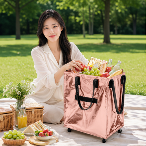 파샐리 바퀴달린 접이식 방수 장바구니 여행 캠핑 보조가방 대용량 폴딩백 빨래