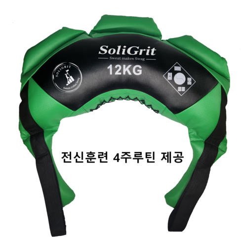솔리그릿 전신 심폐근력운동 불가리안백 무소음 홈트기구, 12kg, 그린