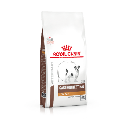 [로얄캐닌] 독 가스트로인테스티널 로우팻 스몰독 1.5kg 솔직 후기 | 실제 사용자 리뷰 총정리 썸네일