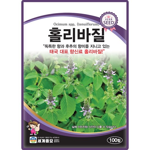 세계종묘 홀리바질 씨앗 100립 바질 바실 꽃씨 허브 종자, 1개