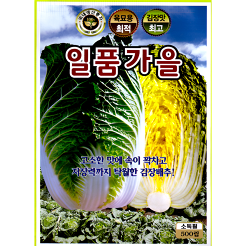 KS종묘 일품가을 배추씨앗 500립 속이 꽉 차고 고소한 맛 김장용 강력 추천 KS, 1개
