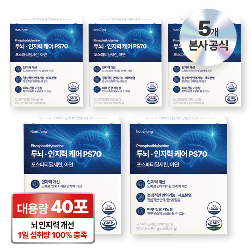 뉴트리정 두뇌 인지력 케어 ps70 포스파티딜세린 아연 분말스틱 40포, 5박스, 80g