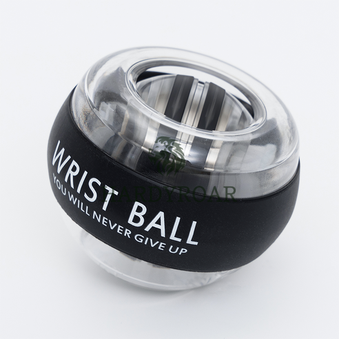 하디로어 자이로볼 손목 전완근 운동기구 운동러 솔직 후기 | 실사용 리뷰 - 상품 이미지 3