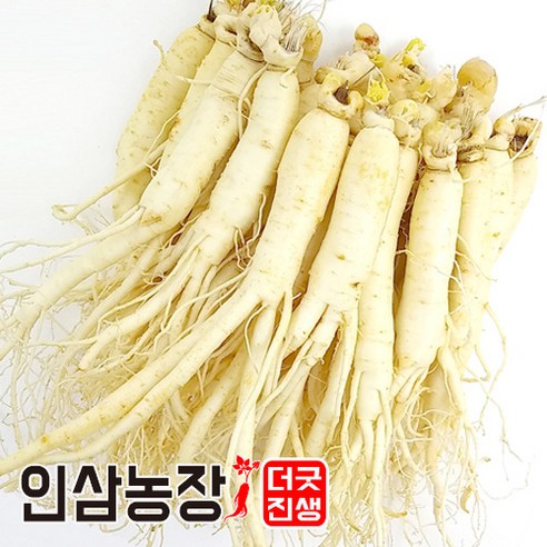 인삼 수삼 금산인삼 세척 원수삼 더굿진생 실사용 후기 | 효과 있을까? - 상품 이미지 1