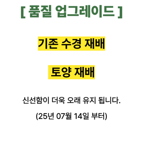 뮤토 친환경인증 [핏 캣그라스] 생화 귀리 새싹 가성비갑 신선한 고양이 ... 솔직 후기 | 실제 사용자 리뷰 총정리 - 상품 이미지 3