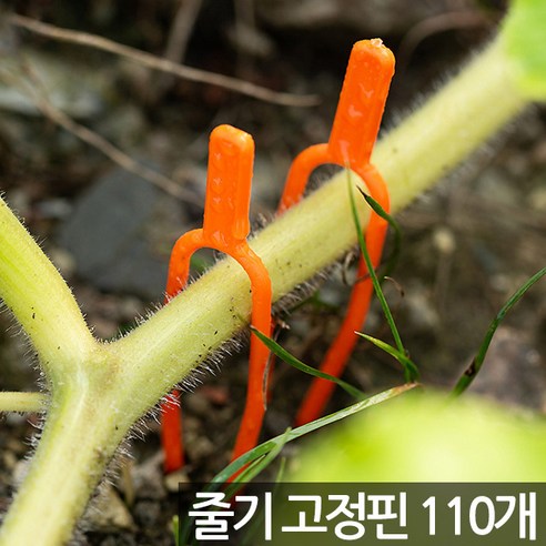 세인화분 화분 식물 줄기 고정 핀 110P - 고정핀 넝쿨 뿌리 고정클집게 립 딸기 수박 덩쿨 홀더 지지대 보강핀 유인핀 런너핀 러너핀 지주대, 110개, 식물고정핀