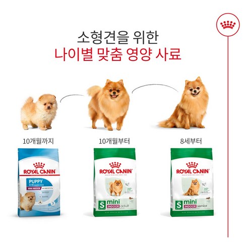 로얄캐닌 강아지사료 미니 인도어 어덜트 건식 사료 이미지 4