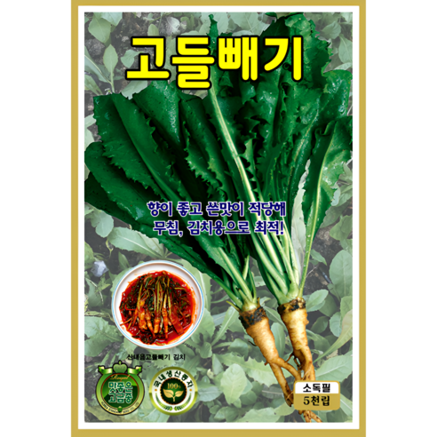 KS종묘 고들빼기 씨앗 5천립 산내음 무침 김치용 향 좋은 쌉싸름한 봄가을 파종 채소종자 ks, 1개