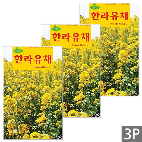 세인화분 한라 유채 30g - 꽃씨 꽃씨앗 씨 씨앗, 3개