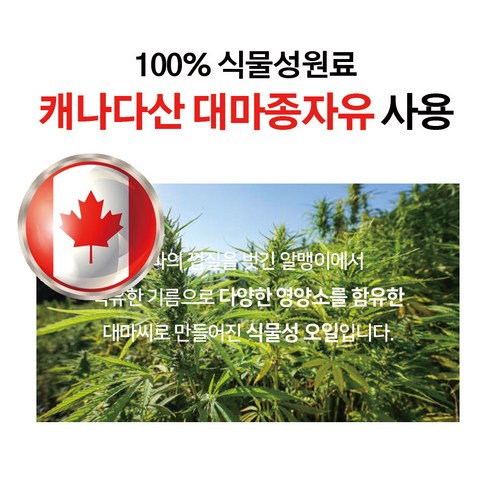 웰핏 대마종자유, 60정, 3개 - MCT 오일 | 쿠팡