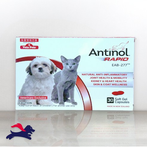 안티놀 래피드 30정 (강아지 고양이 관절영양제) 솔직 후기 | 실제 사용자 리뷰 총정리 썸네일