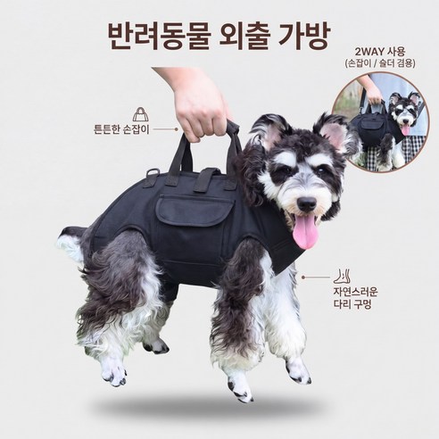 융풍 반려동물 이동가방 강아지 고양이 백팩 휴대용 외출가방 통기성 어깨끈 손잡이 겸용, 블랙, 1개