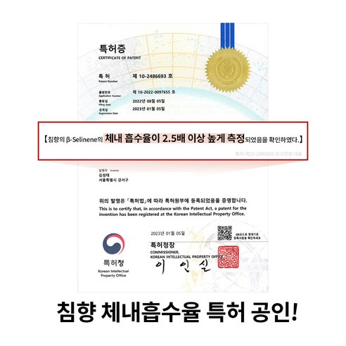 조선비책 조선황림 발효침향환 60p 225g, 1개 이미지 4
