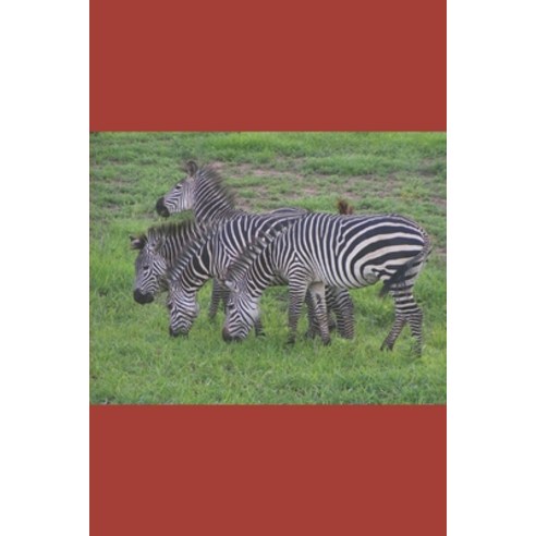 (영문도서)B'ajlom ii Nkotz'i'j Publications' Wolof Phrasebook: Ideal for Traveling to Sene... Paperback, Independently Published, English, 9798198089273