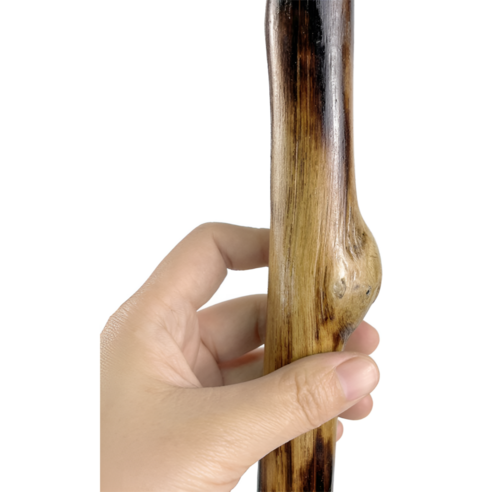 명아주 지팡이로 삶의 활력을 되찾으세요