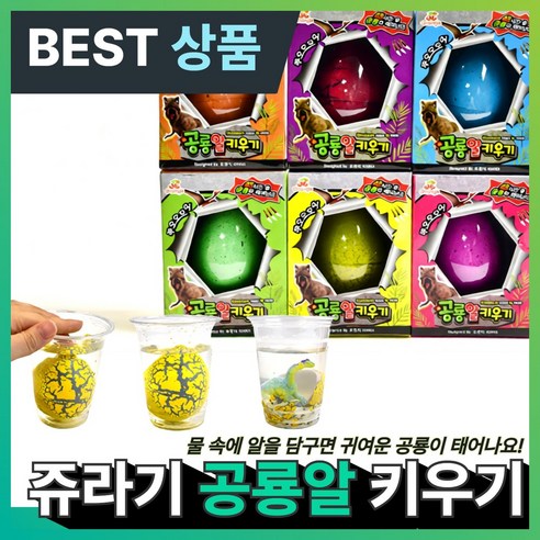 아오어 공룡알 키우기 부화 세트 어린이집 유치원 단체 선물 랜덤발송, 1개
