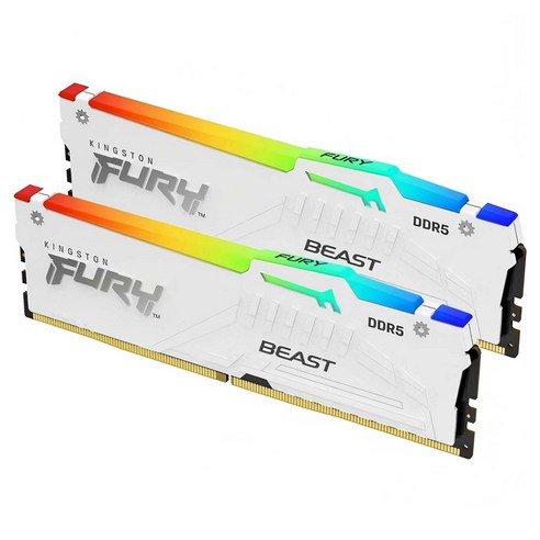킹스톤 퓨리 비스트 DDR5 RGB 데스크톱 메모리 6400MHz 16GB 화이트 2개입, 1개, KF564C32RBWK2/16