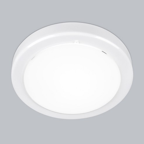 이튼 20W LED 직부등 국산 유백 스마트 세탁실 화장실 베란다 조명, 주광색, 1개