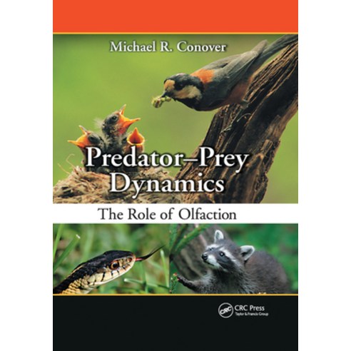 (영문도서)Predator-Prey Dynamics: The Role of Olfaction Paperback, CRC Press, English, 9780367389291