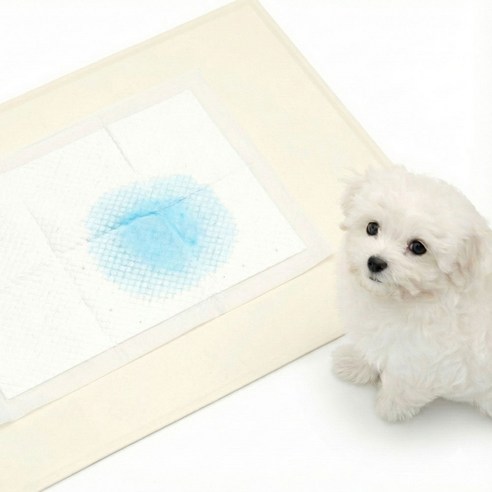 워글리 실리콘 배변매트 솔직 후기 | 실사용자 리뷰 분석 - 상품 이미지 1