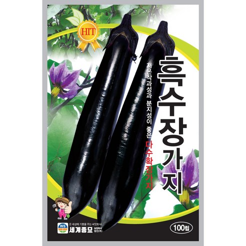 세계종묘 흑수장가지 씨앗 100립, 1개