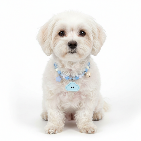 하니펫 강아지 고양이 예쁜 크림 방울 목걸이, 1개, 파랑