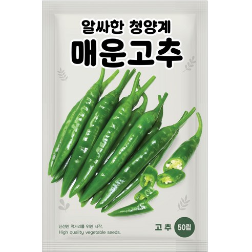 NH농우바이오 청양계 매운고추 씨앗 50립, 1개