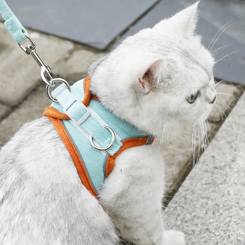 디아쿠아 고양이 강아지 야광 빛반사 벨크로 하네스 리드줄 세트, 민트오렌지, 1개