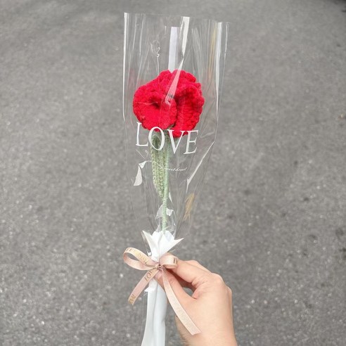 [글로비스타] 뜨개 꽃 한송이 완제품 행사 선물 생일 명절 기념일선물, 1개, 레드 카네이션
