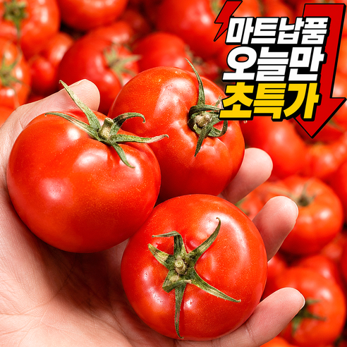 [오늘만초특가] 당도특품선별 국내산 정품 완숙토마토, 5kg (초특가), 1박스