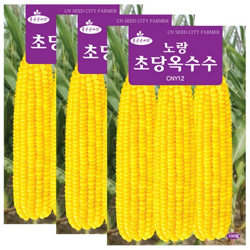 세인화분 노랑 초당옥수수씨앗 100립 옥수수씨 초당 옥수수 씨앗, 3개