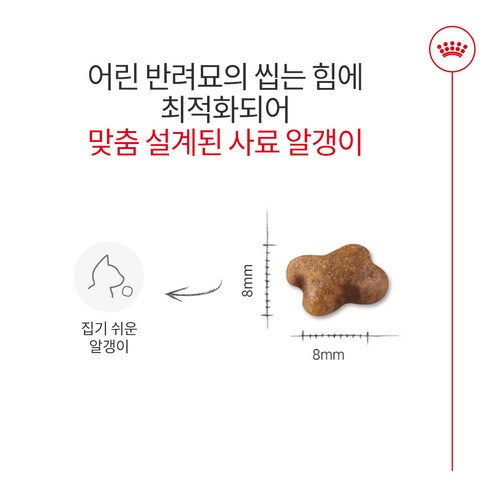 로얄캐닌 고양이사료 키튼 건식 4kg 면역력강화도움/ 사은품 건사료 100G 증정 랜덤 발송 이미지 3